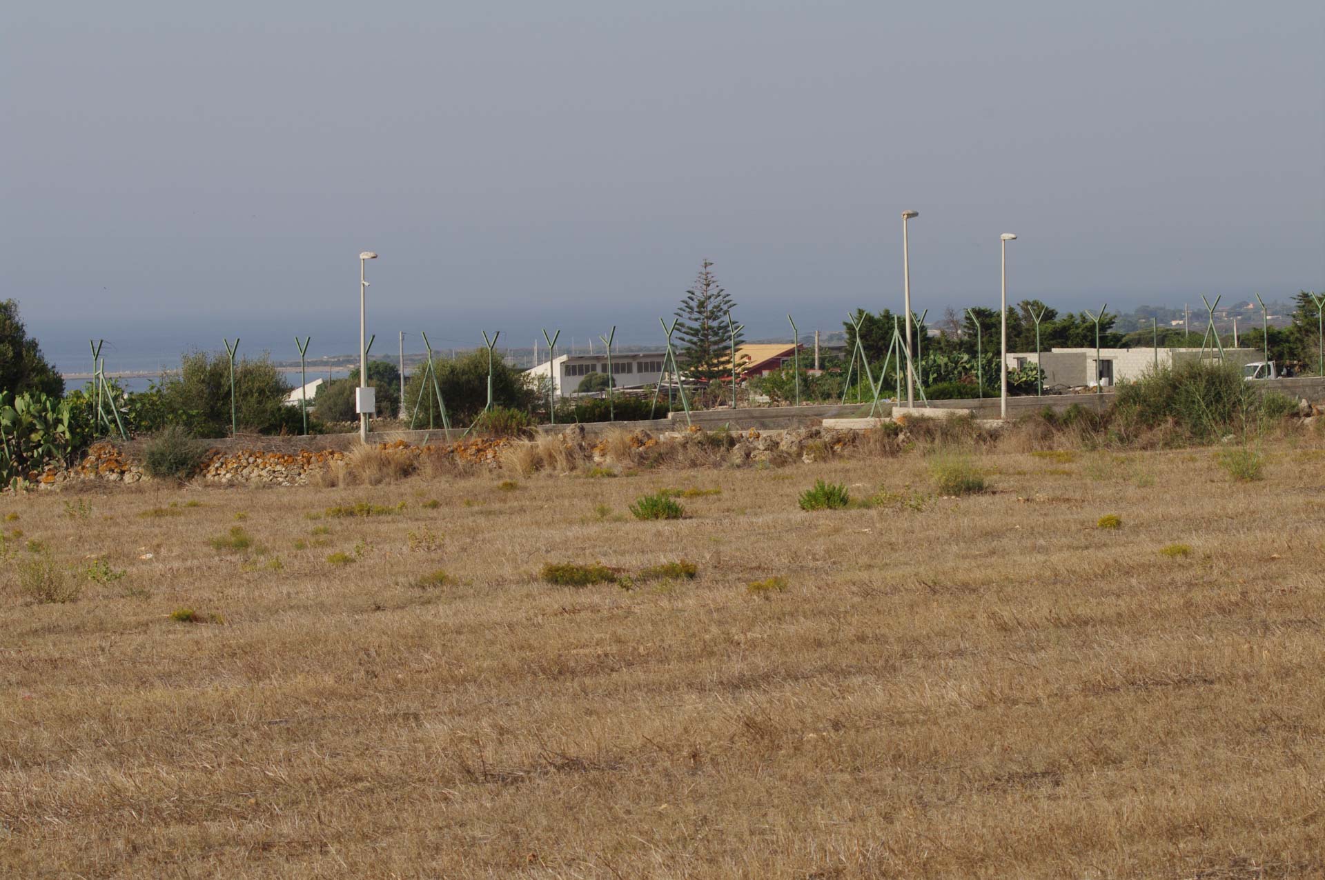 IMGP2660